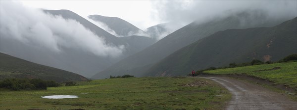 Женщина в поле